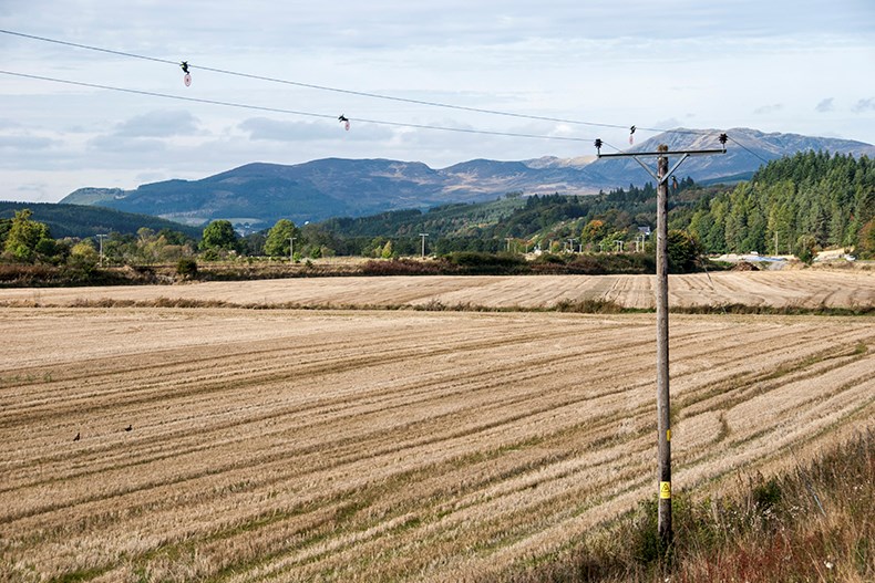 Harvested crop field with a distribution wire and pole featured to reflect the environment, biodiversity and energy 
